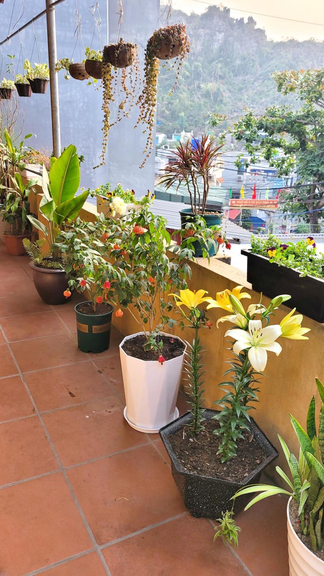Tiny Garden House Cat Ba Hotel Chan Chau Ngoại thất bức ảnh