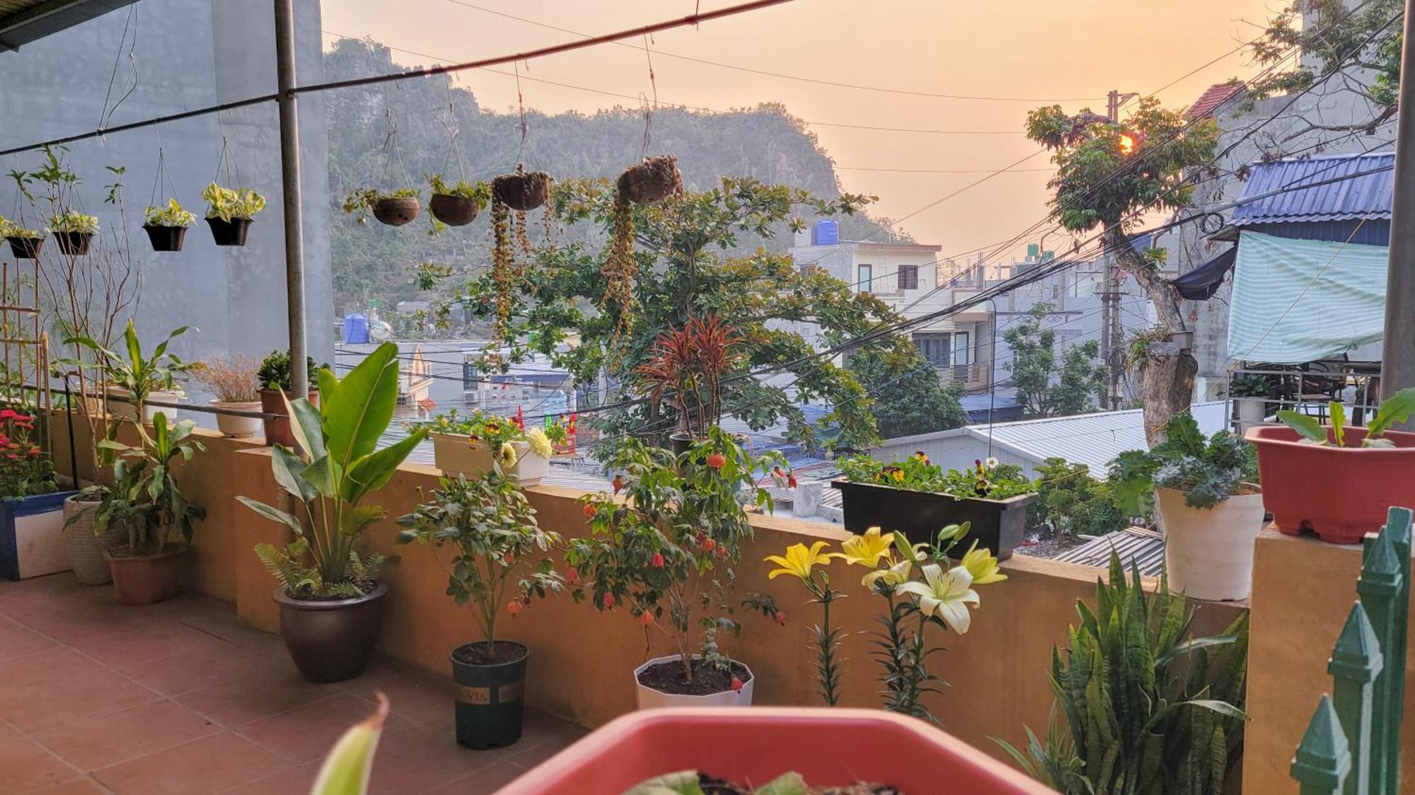 Tiny Garden House Cat Ba Hotel Chan Chau Ngoại thất bức ảnh